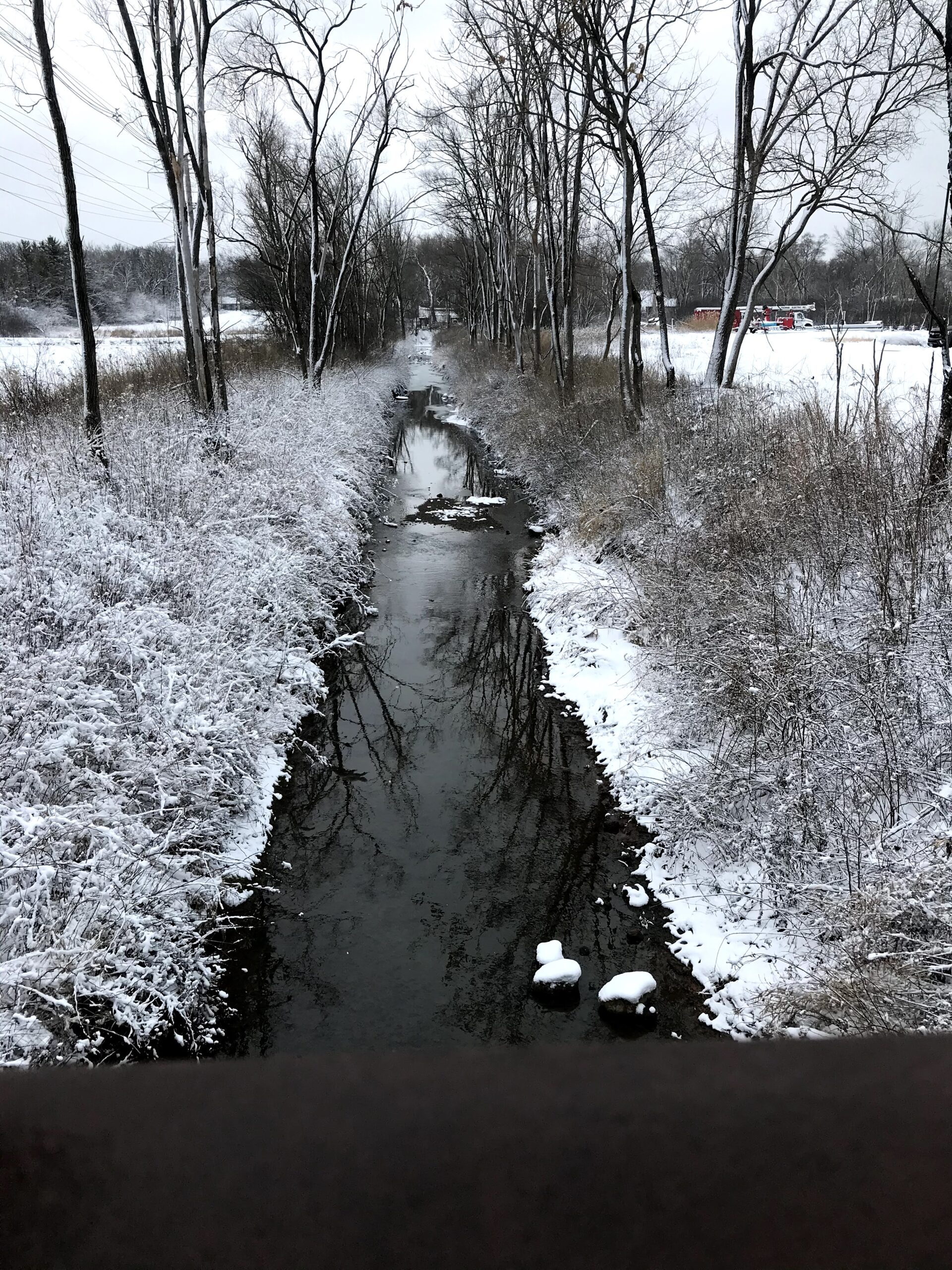 The First Snow of the Year