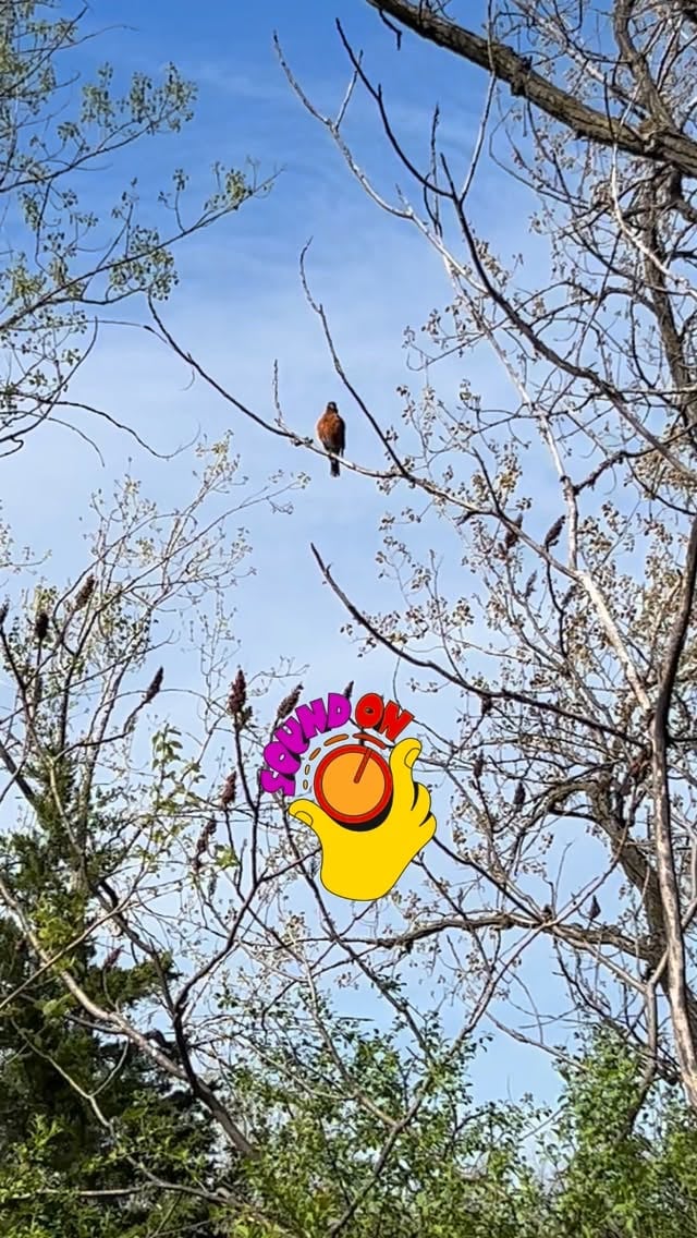 At Lake Katherine. Nothing like a walk outside to get ideas for my current rough draft. #smalltownromance #indieromanceauthor #lakekatherinenaturecenter