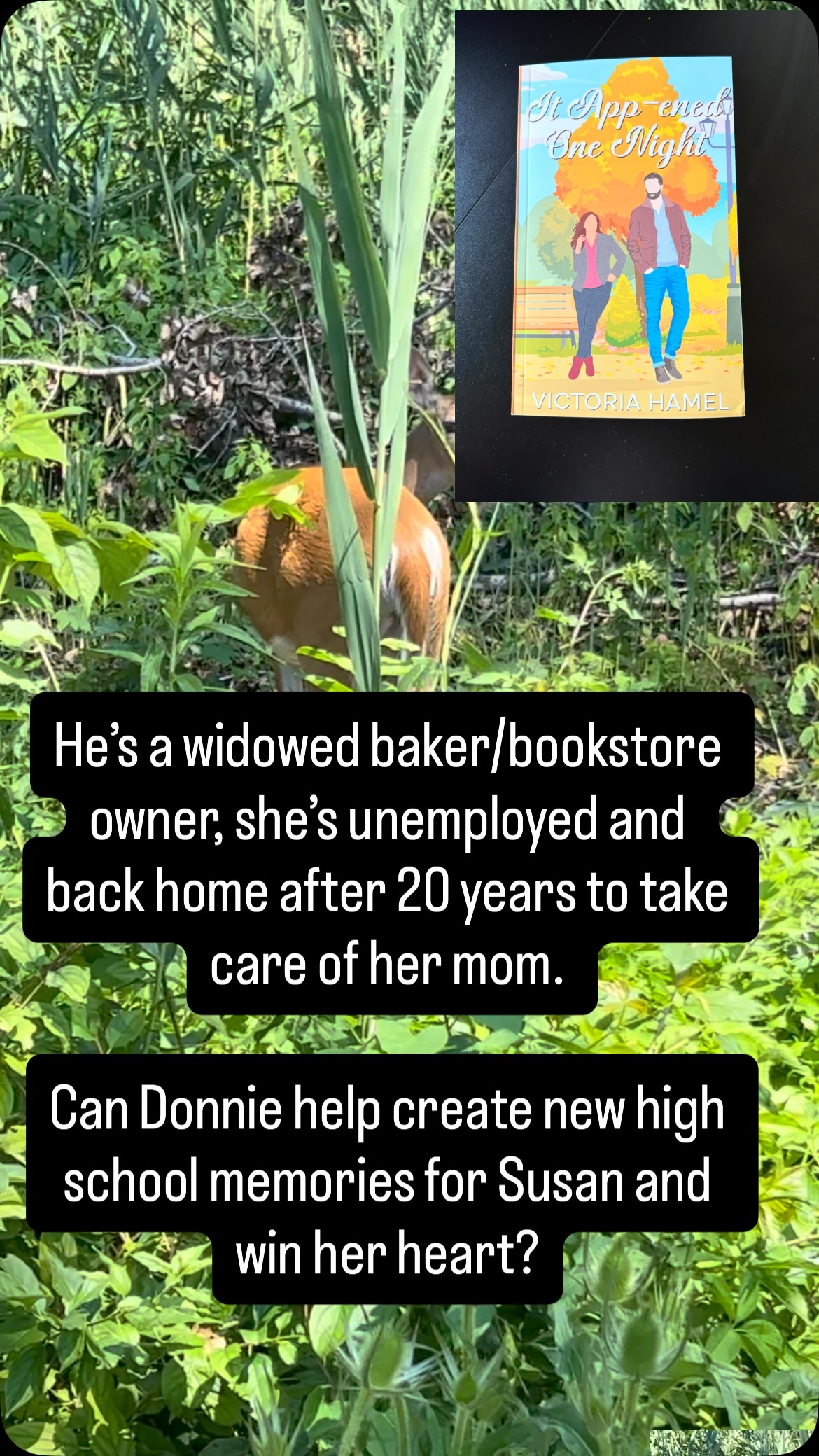 He’s a widowed baker/bookstore owner, she’s unemployed and back home after 20 years to take care of her mom. 

Can Donnie help create new high school memories for Susan and win her heart?

❤️ meet cute at a concert
❤️ they get caught making out in the HS theater 
❤️ marching band grand gesture 
❤️she’s welcomed to the group chat  #smalltownromance #indieromanceauthor #smalltownromancebooks #noAI #spicyreads